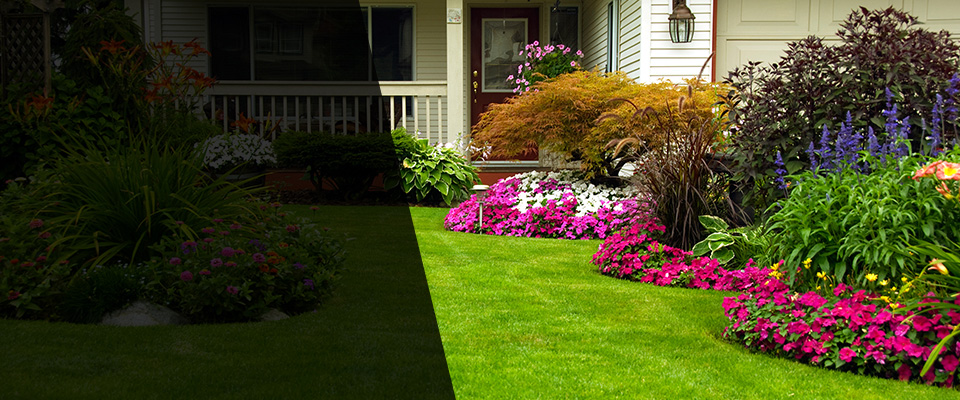 Marshfield Landscapers