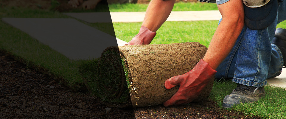 Marshfield Landscapers